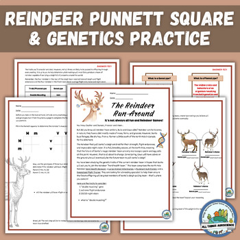 Punnett Square Practice With Santa 39 s Reindeer Genetics Christmas Activity