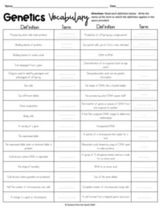 Quiz On Genetics Free Worksheets