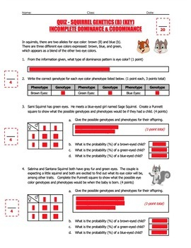 Quiz Squirrel Genetics With Incomplete Dominance And Codominance Part B 