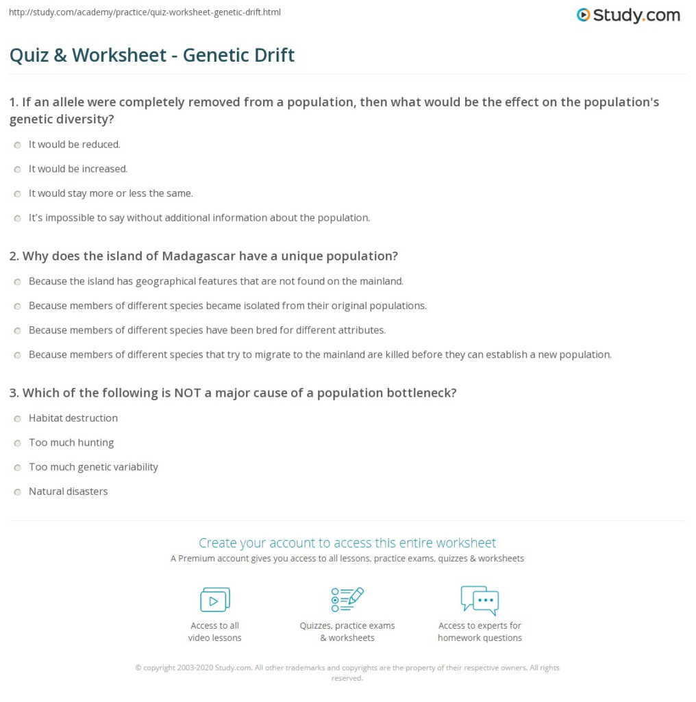 Quiz Worksheet Genetic Drift Study