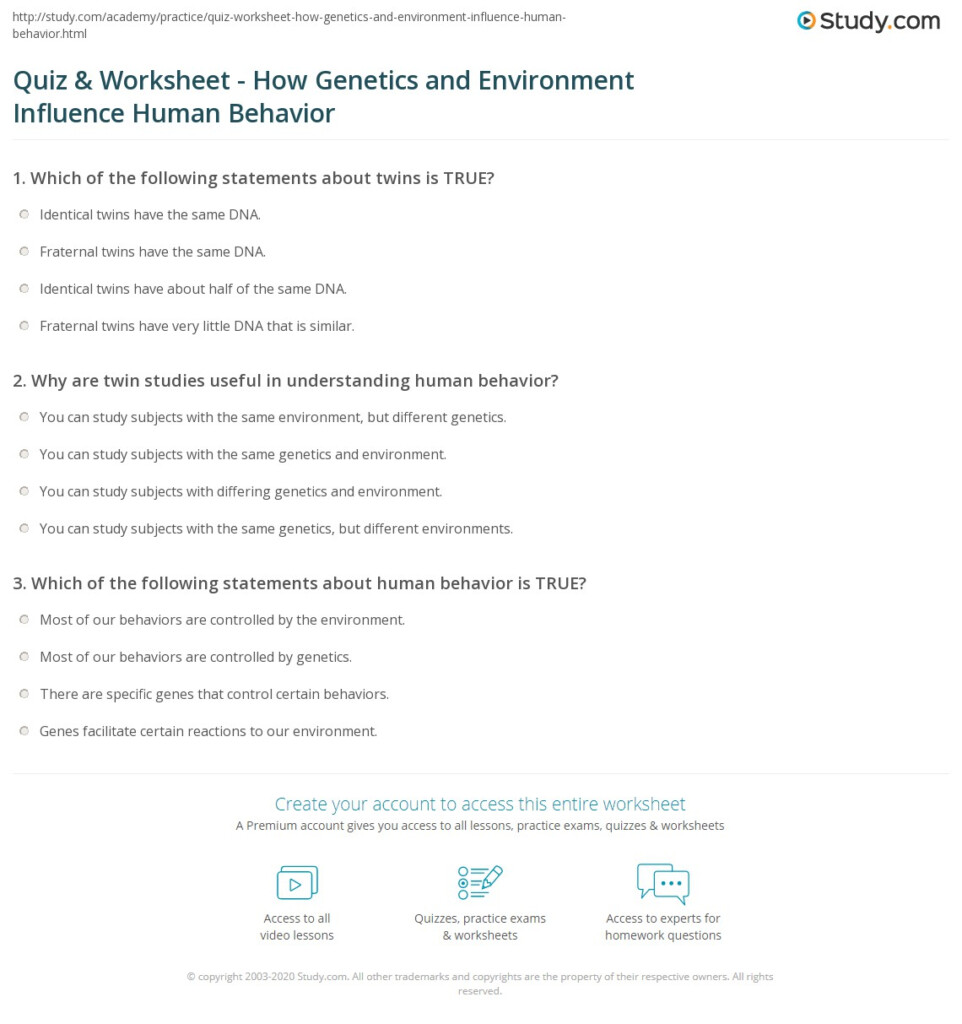 Quiz Worksheet How Genetics And Environment Influence Human 