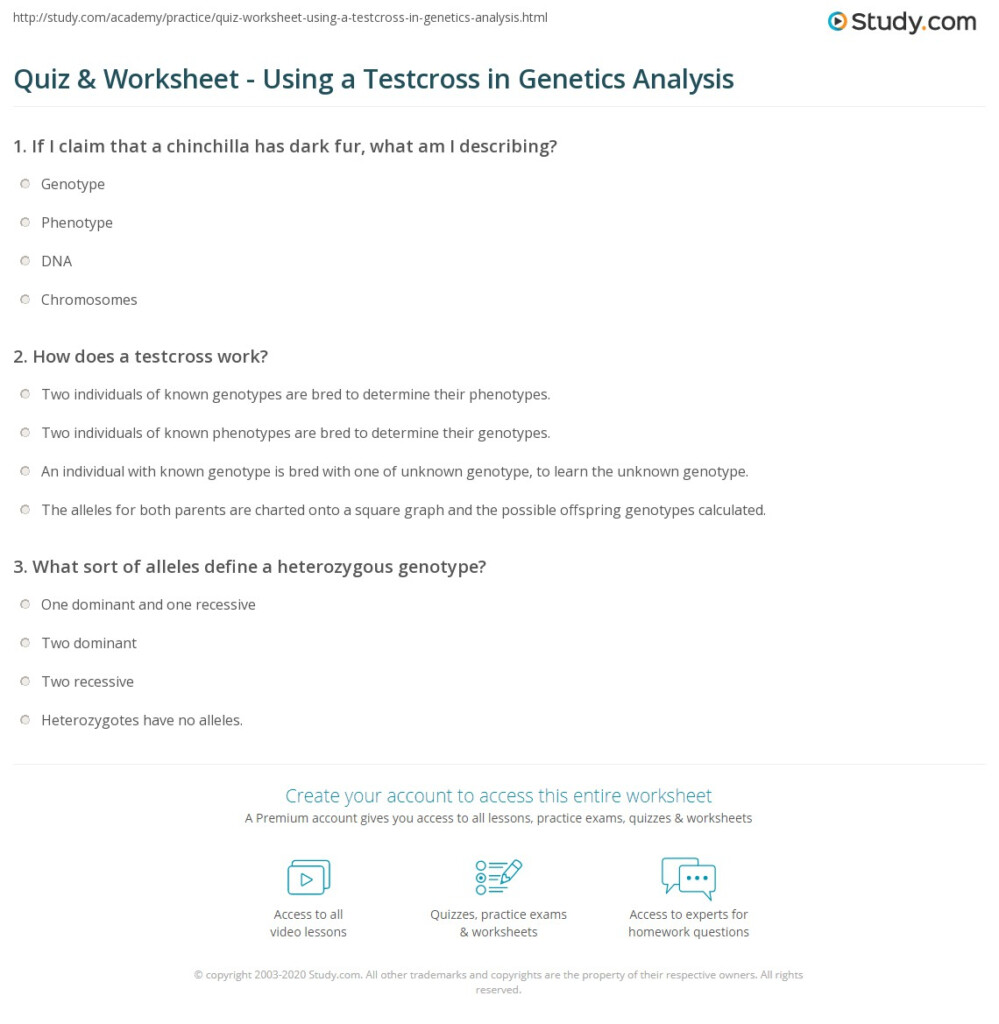 Quiz Worksheet Using A Testcross In Genetics Analysis Study