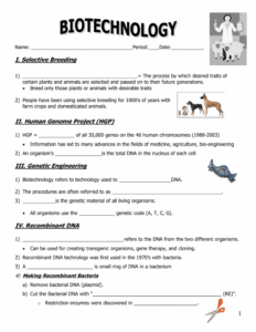 Recombinant Dna Technology Worksheet Answers
