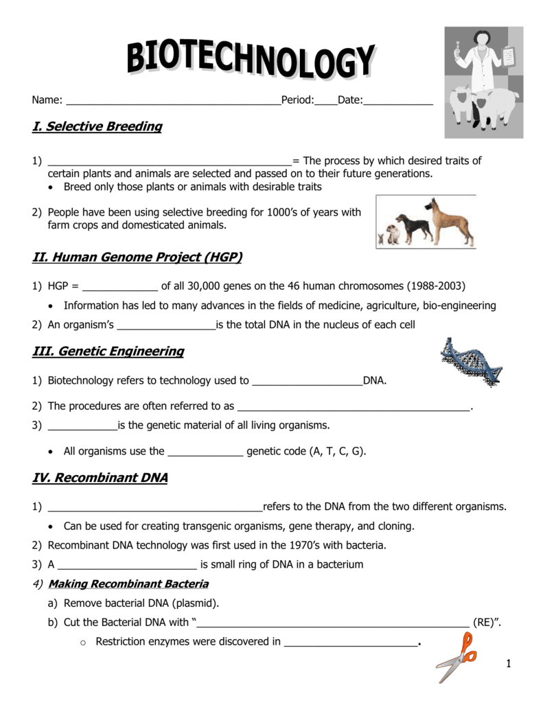 Recombinant Dna Technology Worksheet Answers