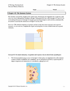 Reebops genetics 1 Worksheet REEBOP GENETICS BODY SEGMENTS 3 Body