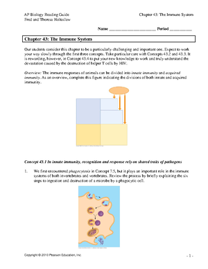 Reebops genetics 1 Worksheet REEBOP GENETICS BODY SEGMENTS 3 Body 