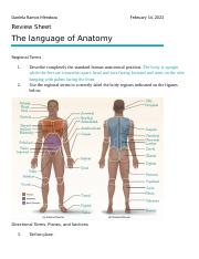 Review Sheet The Language Of Anatomy docx Daniela Ramos Mendoza 
