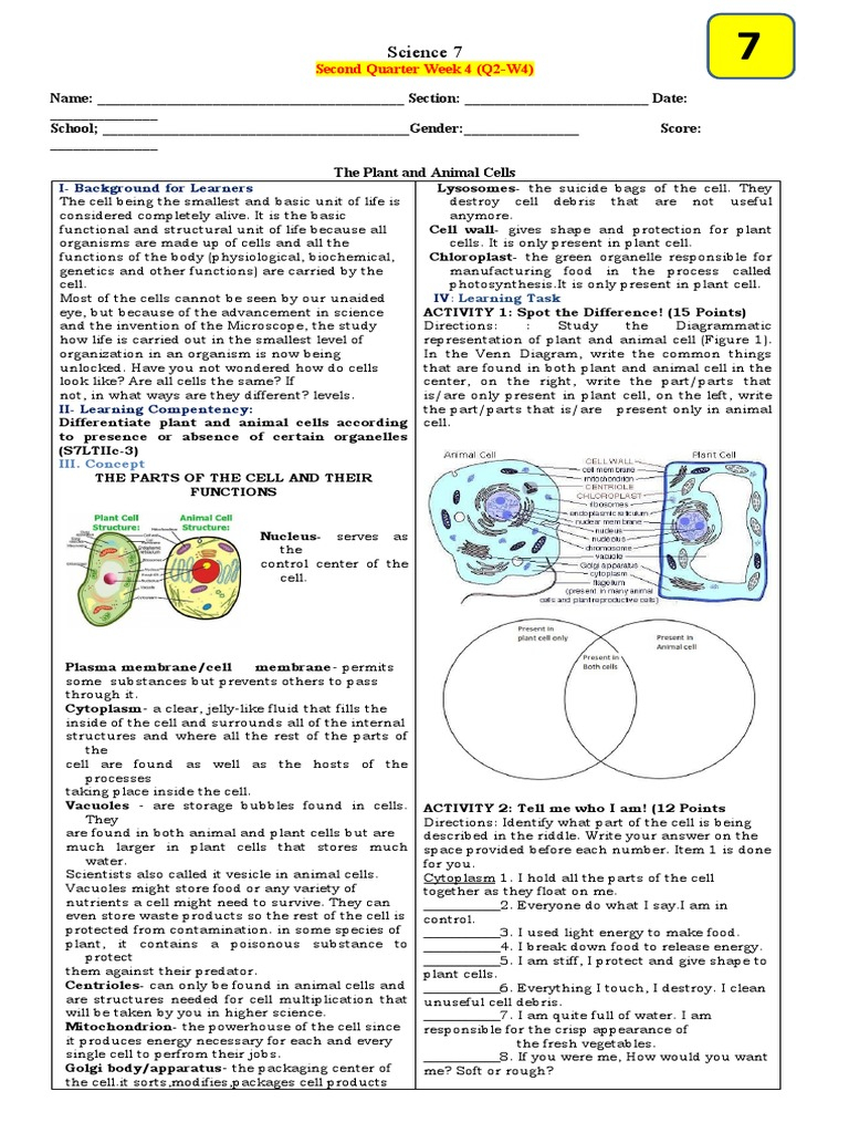 Science 7 W4 PDF Cell Biology Vacuole Worksheets Library