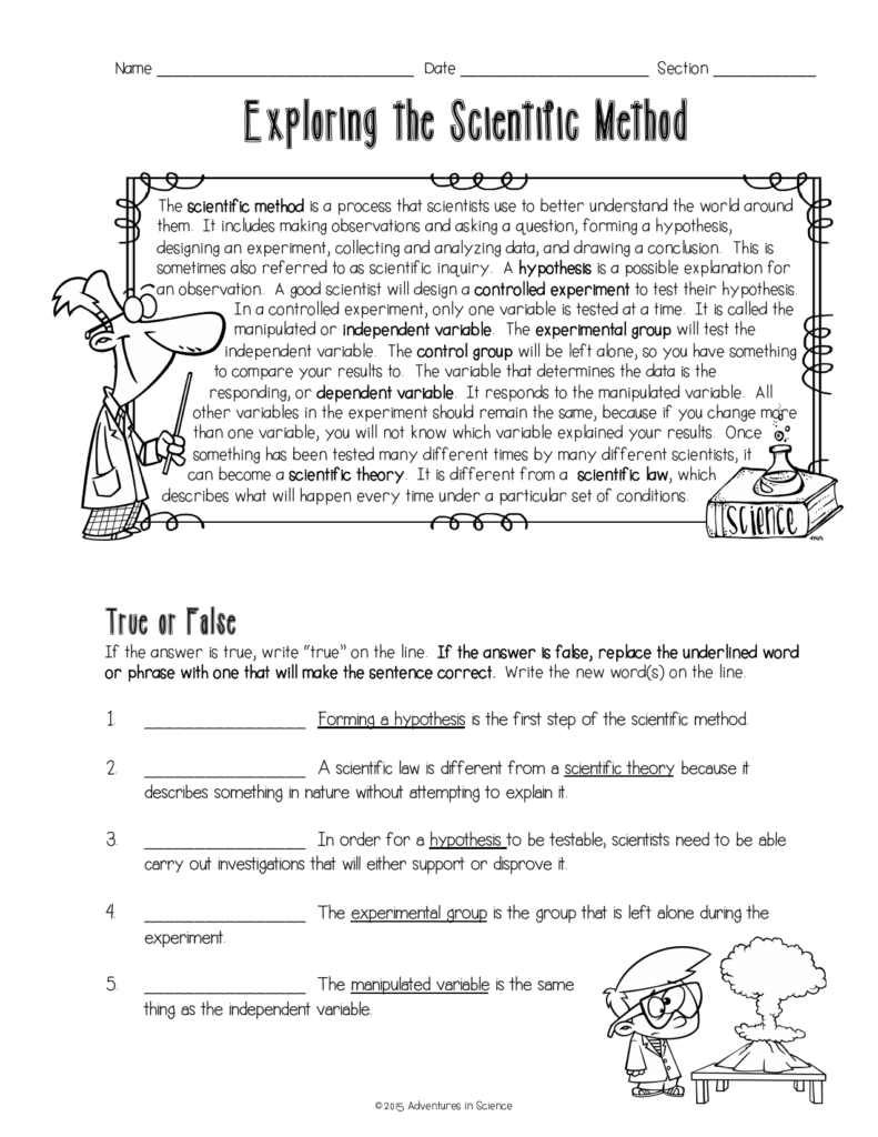 Scientific Method Steps Worksheet 6th Grade
