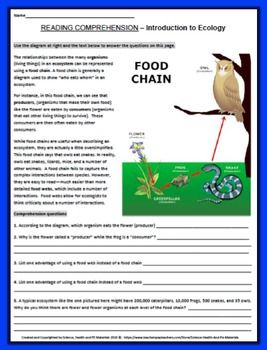 Section 18 1 Introduction To Ecology Worksheet Answers Free Math Problems