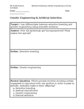 Selective Breeding And Genetic Engineering Worksheet By BioGenesis Emporium