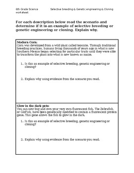 Selective Breeding And Genetic Engineering Worksheet By BioGenesis Emporium