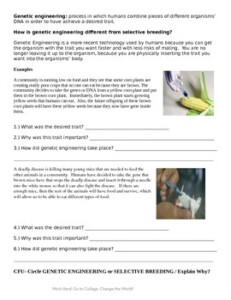 Selective Breeding Genetic Engineering By BSF24 TpT