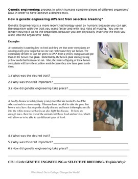 Selective Breeding Genetic Engineering By BSF24 TpT