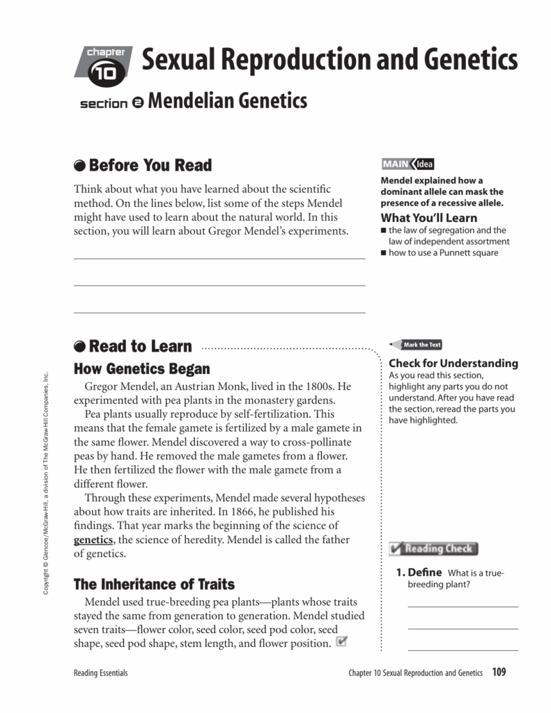 Sexual Reproduction And Genetics Worksheet Answers Sexual 