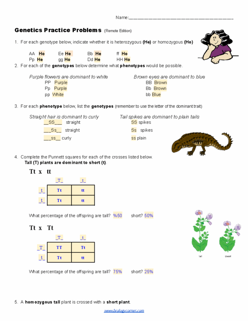 Simple Genetics Practice Problems Answer Key Genetics Practi