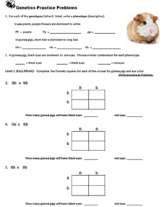 Simple Genetics Practice Problems Easy To Hard Mode