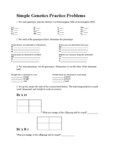 Simple Genetics Practice Problems PDF Zygosity Dominance