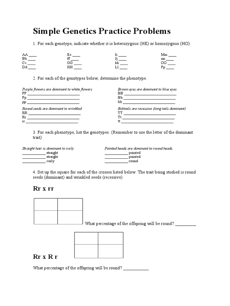 Simple Genetics Practice Problems PDF Zygosity Dominance 