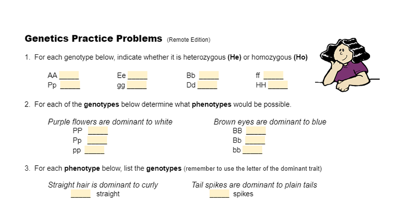 Simple Genetics Practice Remote Edition KEY By Biologycorner 