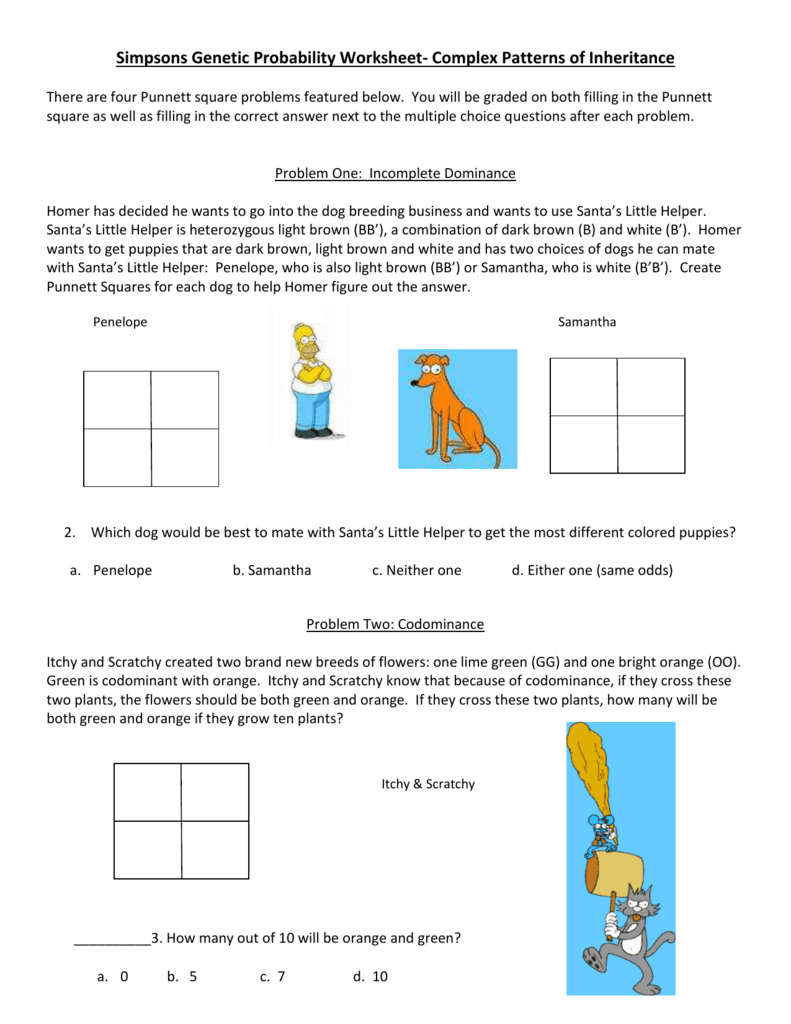 Simpsons Genetic Probability Worksheet