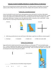 Simpsons Genetics docx Simpsons Genetic Probability Worksheet 