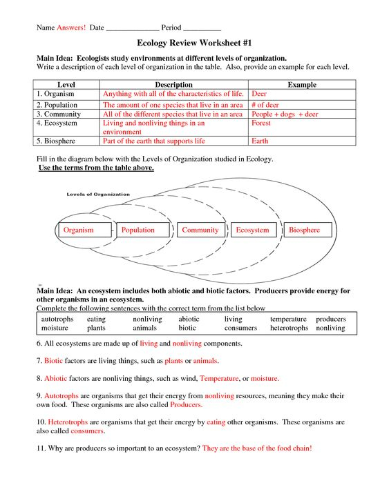 Six Levels Of Ecology Ecology Review Worksheet 1 Answers Recipes To 