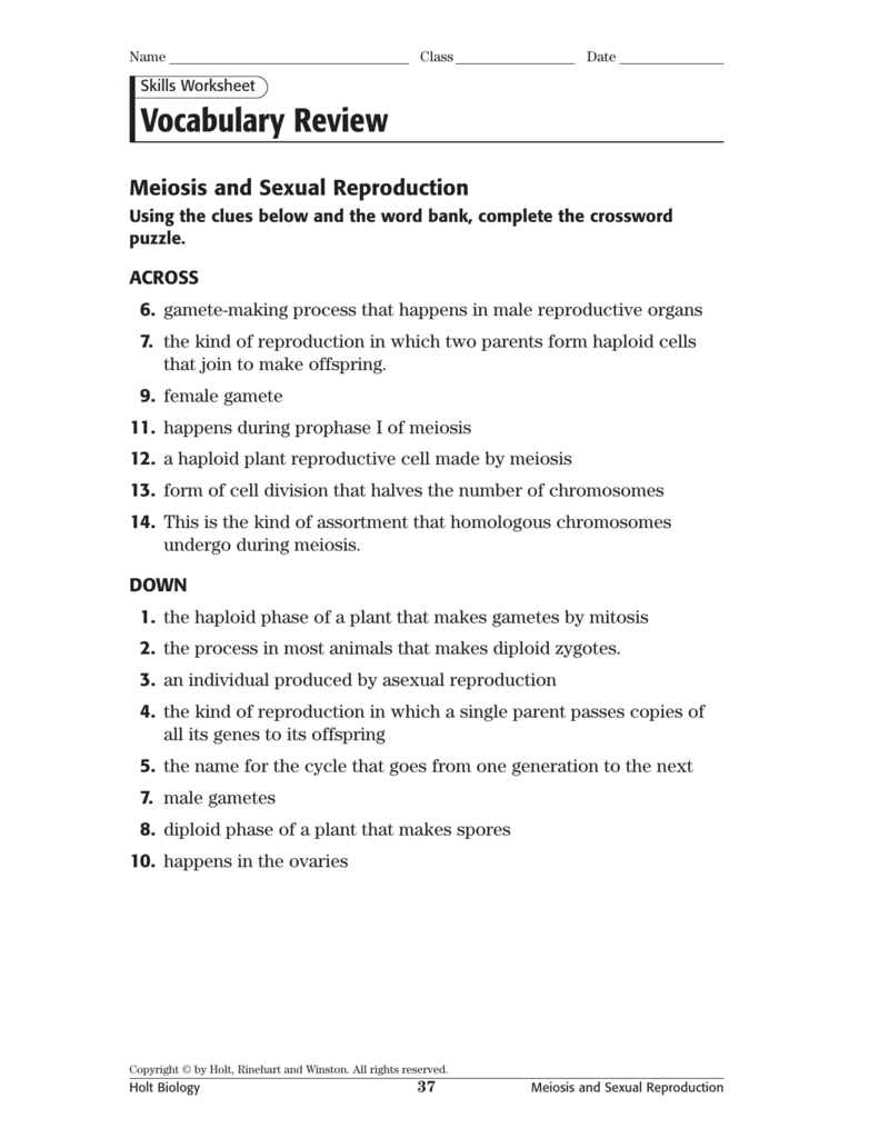 Skills Worksheet Vocabulary Review Holt Biology Answers 