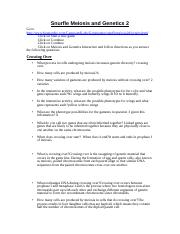 Snurfle Meiosis And Genetics 2 Worksheet 3 docx Snurfle Meiosis And 