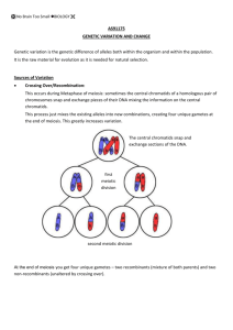Snurfle Meiosis Worksheet Answer Key Page 2 Homeostasis Virtual Lab 