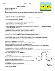 Snurfle Meiosis Worksheet Answers Pdf Askworksheet