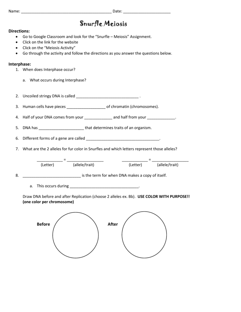 Snurfle Meiosis Worksheet Answers Pdf Worksheet Now