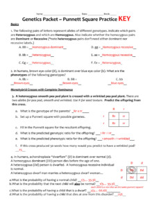 SOLUTION Answer Key Genetic Packet Studypool Worksheets Library