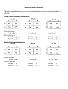 SOLUTION Mendelian Genetics Worksheet Studypool Worksheets Library
