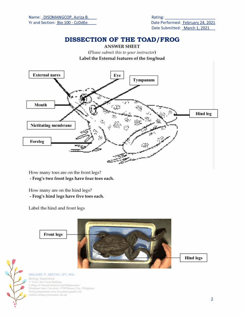 SOLUTION Sample LABORATORY ACTIVITY With Answers Frog Dissection 