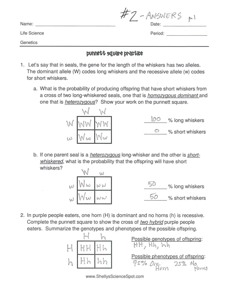 SOLUTION Science Genetics Punnett Square Practice Studypool 
