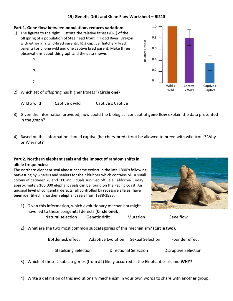 Solved 15 Genetic Drift And Gene Flow Worksheet B1213 1 0 Chegg
