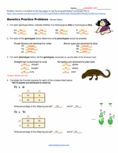 Solved BIOL 1406 Mendelian Genetics Practice Problems 1 In
