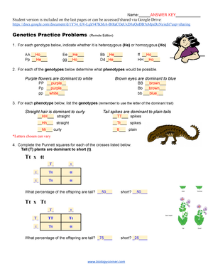 Solved BIOL 1406 Mendelian Genetics Practice Problems 1 In 