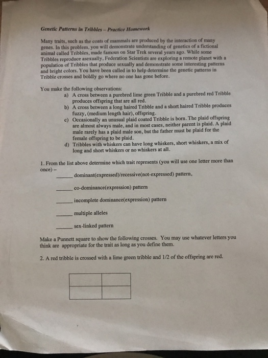 Solved Genetic Patterns In Tribbles Practice Homework Many Chegg