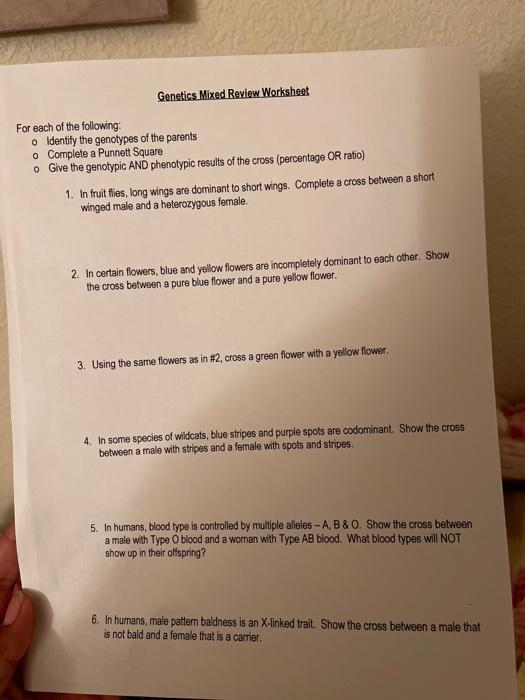  Solved Genetics Mixed Review Worksheet For Each Of The Following O 