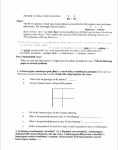 Solved Genetics Worksheet Part 1 Introduction 1 Describe Chegg