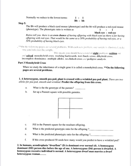 Solved Genetics Worksheet Part 1 Introduction 1 Describe Chegg