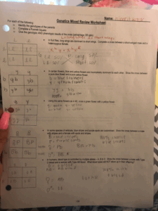 Solved Name Nimtt KaM For Each Of The Following Genetics Chegg