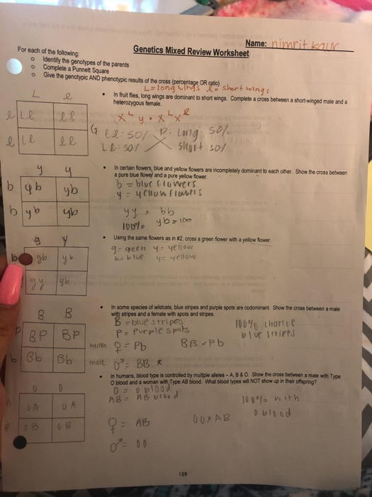 Solved Name Nimtt KaM For Each Of The Following Genetics Chegg
