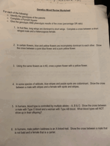 Solved UPA ZA VS Genetics Mixed Review Worksheet For Each Of Chegg