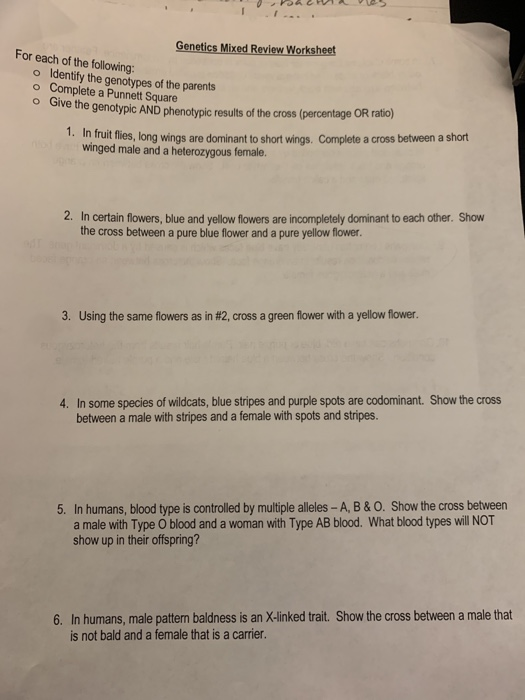 Solved UPA ZA VS Genetics Mixed Review Worksheet For Each Of Chegg