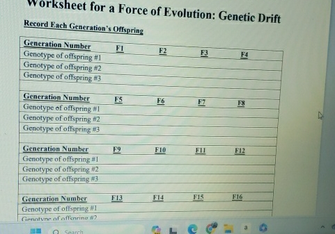 Solved Worksheet For A Force Of Evolution Genetic Chegg