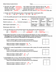 Spongebob Genetics Answer Key Bikini Bottom Genetics Worksheet Answer