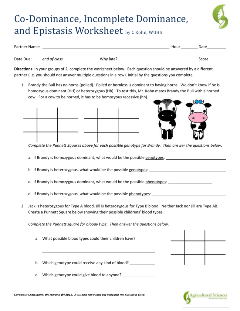 Squirrel Genetics Incomplete Dominance And Codominance Worksheet 